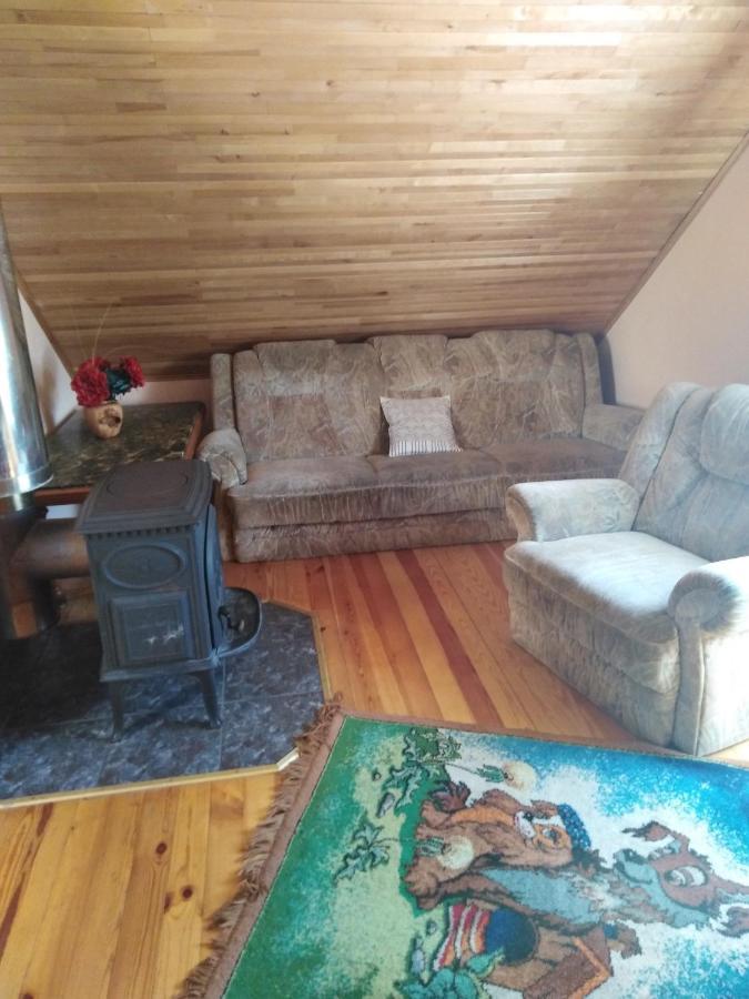 Apartment In Central Trakai Kültér fotó