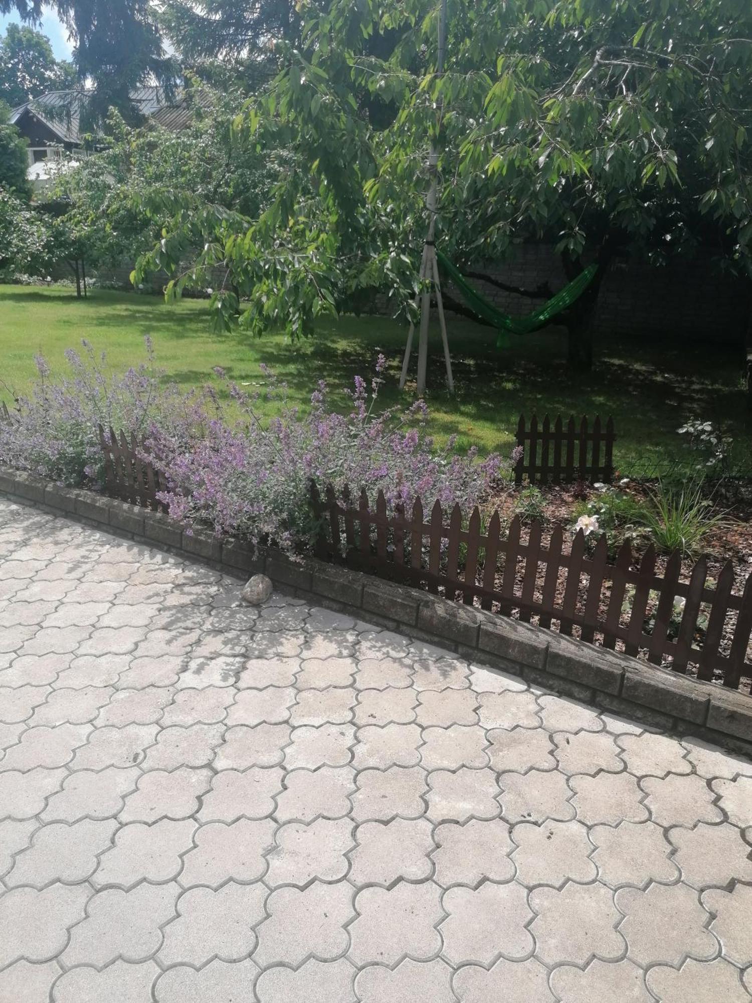 Apartment In Central Trakai Kültér fotó